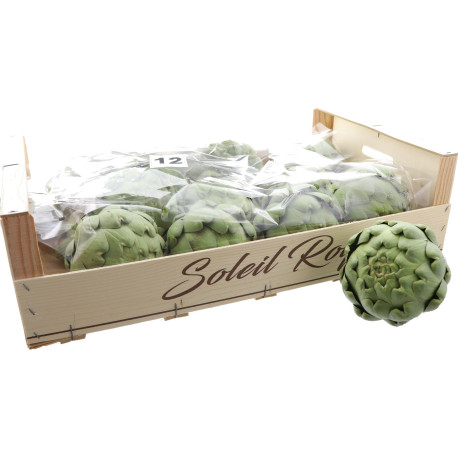 ARTICHAUT CALICOT 12PCS